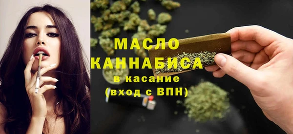 дмт Дмитровск
