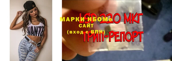 винт Гусев