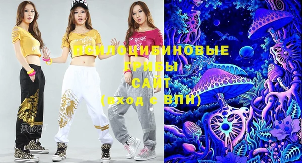 винт Гусев