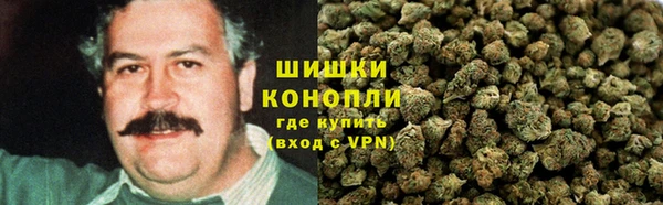 винт Гусев