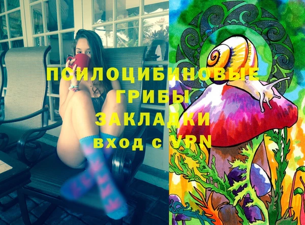 винт Гусев