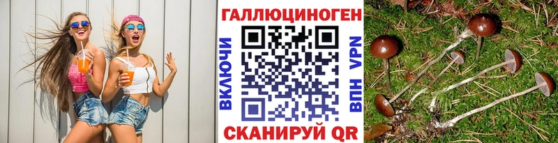 KRAKEN ССЫЛКА  darknet наркотические препараты  Псилоцибиновые грибы Psilocybe  Кореновск 
